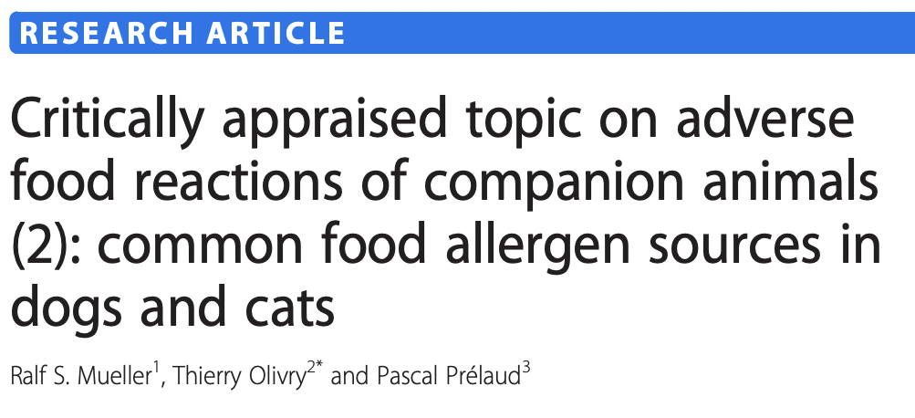 Quali sono i più comuni allergeni alimentari nel cane e nel gatto?